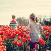 Spring Activities to Consider in Indianapolis, Indiana