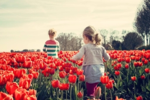 Spring Activities to Consider in Indianapolis, Indiana